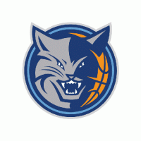 Charlotte Bobcats 2012 13-Pres Alternate Logo Light Iron-on Stickers (Heat Transfers)