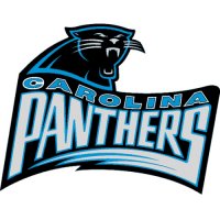 Carolina Panthers Alternate Logo  Light Iron-on Stickers (Heat Transfers) version 4