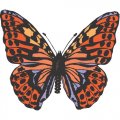 Butterfly Light Iron On Stickers (Heat Transfers) version 3