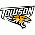 2004-Pres Towson Tigers Primary Logo Light Iron-on Stickers (Heat Transfers)