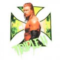 WWE Logo Light Iron-on Stickers (Heat Transfers) N2979