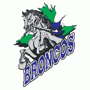 1995 96-2002 03 Swift Current Broncos Primary Logo Light Iron-on Stickers (Heat Transfers)