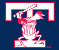 Toledo Mud Hens cap logo(19---pres) Light Iron-on Stickers (Heat Transfers) 01