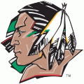 1987-Pres North Dakota Fighting Sioux Primary Logo Light Iron-on Stickers (Heat Transfers)