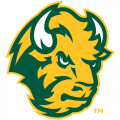 2012-Pres North Dakota State Bison Alternate Logo Light Iron-on Stickers (Heat Transfers)