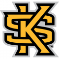 Kennesaw State Owls 2012-Pres Secondary Logo Light Iron-on Stickers (Heat Transfers)