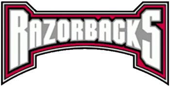 Arkansas Razorbacks 2001-Pres Wordmark Logo Light Iron-on Stickers (Heat Transfers)