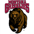 1996-Pres Montana Grizzlies Primary Logo Light Iron-on Stickers (Heat Transfers)