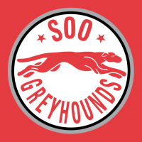 1998 99-2008 09 Sault Ste. Marie Greyhounds Alternate Logo Light Iron-on Stickers (Heat Transfers)