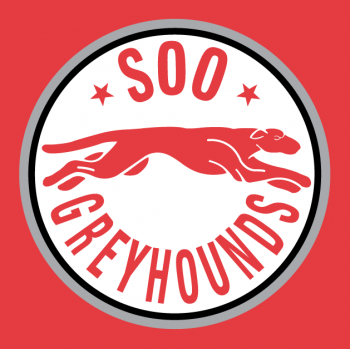 1998 99-2008 09 Sault Ste. Marie Greyhounds Alternate Logo Light Iron-on Stickers (Heat Transfers)