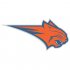 Charlotte Bobcats Alternate Logo  Light Iron-on Stickers (Heat Transfers)