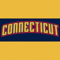 Connecticut Sun 2003-Pres Wordmark Logo Iron On Decals 2