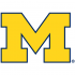 2012-Pres Michigan Wolverines Primary Logo Light Iron-on Stickers (Heat Transfers)