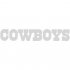 Dallas Cowboys Script Logo  Light Iron-on Stickers (Heat Transfers) version 2