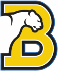 Birmingham-Southern Panthers