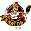 2002 03-Pres Binghamton Senators Primary Logo Light Iron-on Stickers (Heat Transfers)