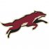 Phoenix Coyotes Alternate Logo  Light Iron-on Stickers (Heat Transfers) version 1