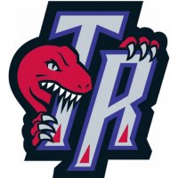 Toronto Raptors Alternate Logo  Light Iron-on Stickers (Heat Transfers) version 1