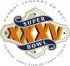 NFL Super Bowl Primary Logo  Light Iron-on Stickers (Heat Transfers)