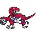 Toronto Raptors Alternate Logo  Light Iron-on Stickers (Heat Transfers) version 2