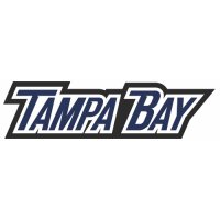 Tampa Bay Lightning Script Logo  Light Iron-on Stickers (Heat Transfers)