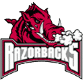 Arkansas Razorbacks 2001-Pres Alternate Logo Light Iron-on Stickers (Heat Transfers)