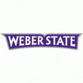 2012-Pres Weber State Wildcats Wordmark Logo Light Iron-on Stickers (Heat Transfers)