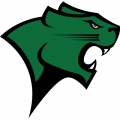 Chicago State Cougars Primary logo(2009-press)Light Iron-on Stickers (Heat Transfers)