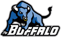 Buffalo Bulls 2007-Pres Primary Logo Light Iron-on Stickers (Heat Transfers)