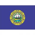 New Hampshire State Flag Light Iron On Stickers (Heat Transfers)