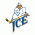 1998 99-Pres Kootenay Ice Primary Logo Light Iron-on Stickers (Heat Transfers)