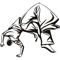 Martial Arts Somersault