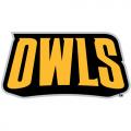 Kennesaw State Owls 2012-Pres Wordmark Logo Light Iron-on Stickers (Heat Transfers)