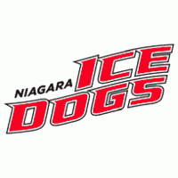 2007 08-Pres Niagara IceDogs Wordmark Logo Light Iron-on Stickers (Heat Transfers)