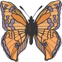 Butterfly Light Iron On Stickers (Heat Transfers) version 11