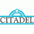 1988-Pres The Citadel Bulldogs Wordmark Logo Light Iron-on Stickers (Heat Transfers)