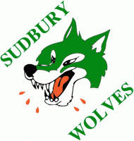 1987 88-1988 89 Sudbury Wolves Photo Gallery Primary Logo Light Iron-on Stickers (Heat Transfers)