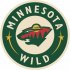 Minnesota Wild Alternate Logo  Light Iron-on Stickers (Heat Transfers) version 3