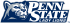 Penn State Nittany Lions 2001-2004 Alternate Logo Light Iron-on Stickers (Heat Transfers) 2