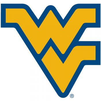 1980-Pres West Virginia Mountaineers Primary Logo Light Iron-on Stickers (Heat Transfers)