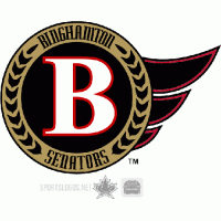 2006 07-Pres Binghamton Senators Secondary Logo Light Iron-on Stickers (Heat Transfers)