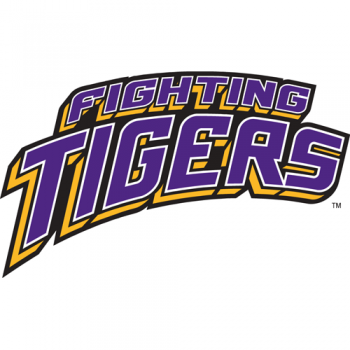 2002-Pres LSU Tigers Wordmark Logo Light Iron-on Stickers (Heat Transfers)