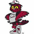 1996-Pres Temple Owls Mascot Logo Light Iron-on Stickers (Heat Transfers)