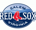 Salem Red Sox primary logo (2009-pres)Light Iron-on Stickers (Heat Transfers) 01