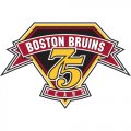 Boston Bruins Anniversary Logo  Light Iron-on Stickers (Heat Transfers)