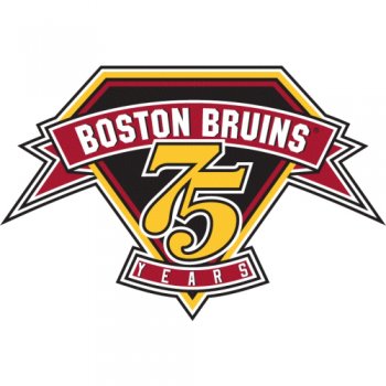 Boston Bruins Anniversary Logo  Light Iron-on Stickers (Heat Transfers)