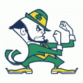 1984-Pres Notre Dame Fighting Irish Alternate Logo Light Iron-on Stickers (Heat Transfers)